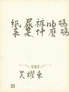 纸尿裤nb码下来是什么码