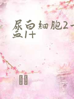 尿白细胞2十隐血1+