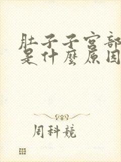 肚子子宫部位疼是什么原因