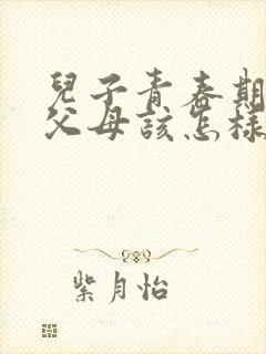 儿子青春期叛逆父母该怎样沟通