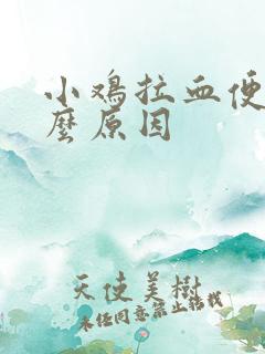 小鸡拉血便是什么原因