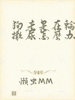 狗老是在轮胎上撒尿怎么办