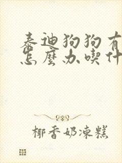 泰迪狗狗有口臭怎么办吃什么药