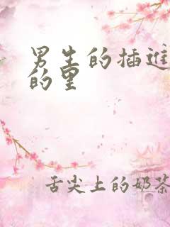 男生的插进女生的里