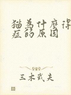 猫为什么得尿闭症的原因