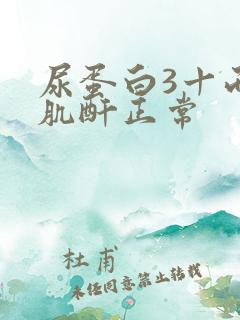 尿蛋白3十而血肌酐正常