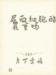 尿白细胞酯酶1 严重吗