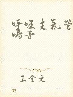 呼吸支气管有哮鸣音