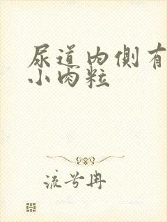 尿道内侧有白色小肉粒