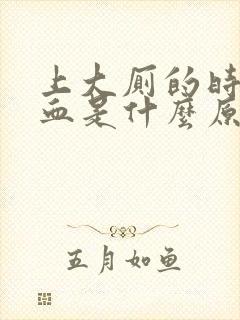 上大厕的时候有血是什么原因