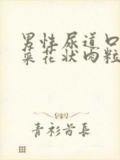 男性尿道口长出菜花状肉粒