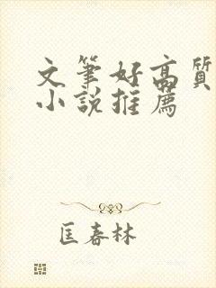 文笔好高质量的小说推荐