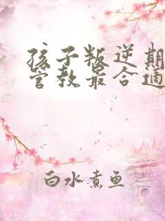 孩子叛逆期怎么管教最合适男孩15岁