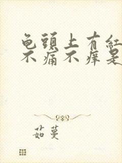 龟头上有红斑,不痛不痒是什么原因