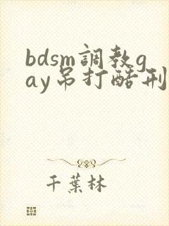 bdsm调教gay吊打酷刑