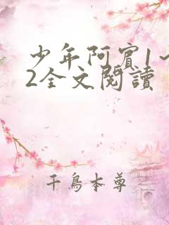 少年阿宾1～72全文阅读