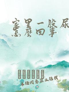 家里一股尿骚味怎么回事