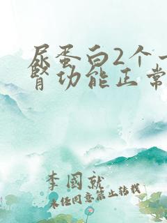 尿蛋白2个十但肾功能正常这是什么问题