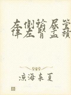 左侧输尿管结石伴左肾盂积液