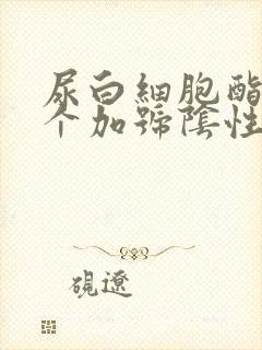 尿白细胞酯酶3个加号阴性