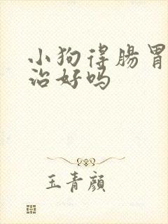 小狗得肠胃炎能治好吗