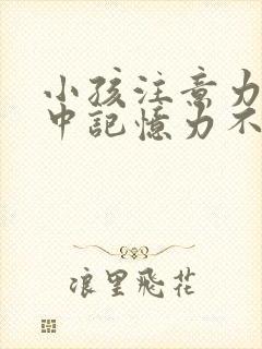 小孩注意力不集中记忆力不好