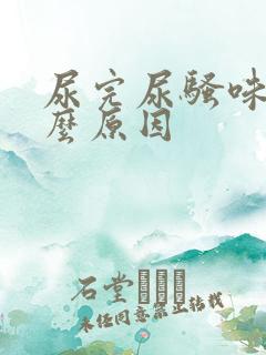 尿完尿骚味重什么原因