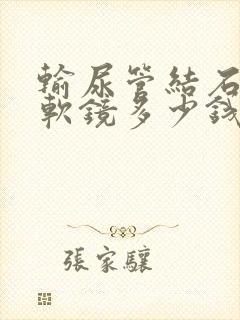 输尿管结石手术软镜多少钱