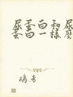 尿蛋白和尿微量蛋白一样么