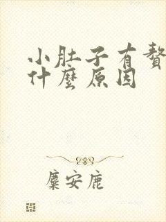 小肚子有赘肉是什么原因