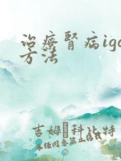 治疗肾病iga方法