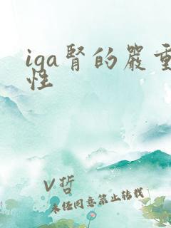 iga肾的严重性