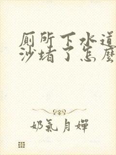 厕所下水道被泥沙堵了怎么办