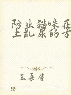 防止猫咪在沙发上乱尿的方法