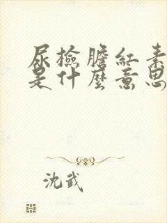 尿检胆红素 1是什么意思