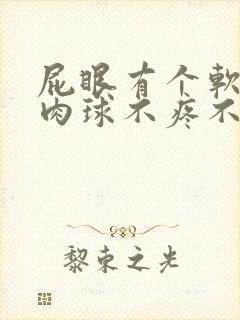 屁眼有个软软的肉球不疼不痒