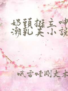 奶头挺立呻吟高潮乳夹小说