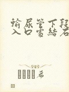 输尿管下段膀胱入口处结石好排吗