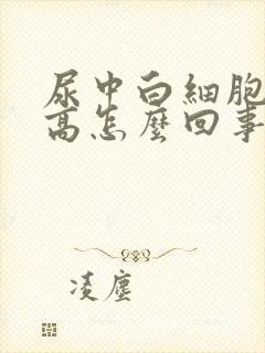 尿中白细胞酯酶高怎么回事