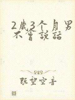 2岁3个月男孩不会说话