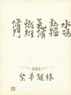 修燃气热水器上门维修号码