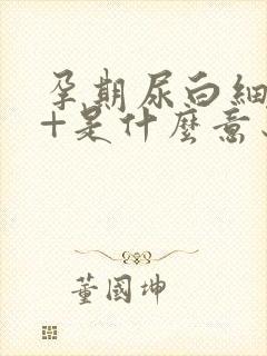 孕期尿白细胞2+是什么意思