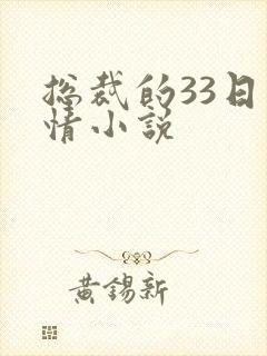 总裁的33日索情小说