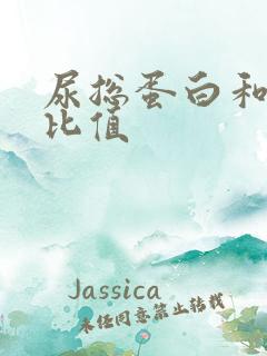 尿总蛋白和肌酐比值