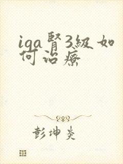 iga肾3级如何治疗