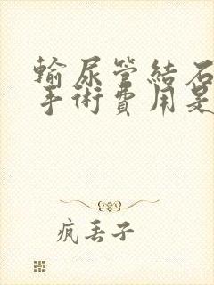 输尿管结石微创手术费用是多少