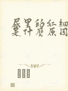 尿里的红细胞高是什么原因