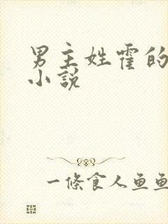 男主姓霍的古言小说