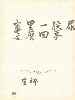 家里一股尿骚味怎么回事