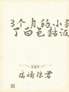 3个月的小猫吐了白色黏液或泡沫